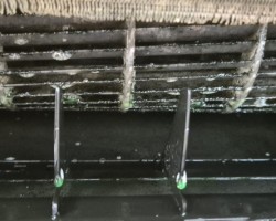 송파 오금동&가평 원룸,커피숍 청소